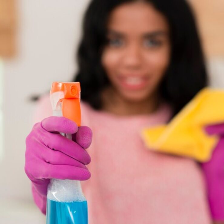The Benefits of Regular Maid Services for Busy Professionals