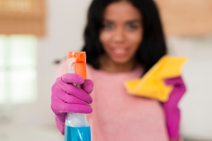 The Benefits of Regular Maid Services for Busy Professionals